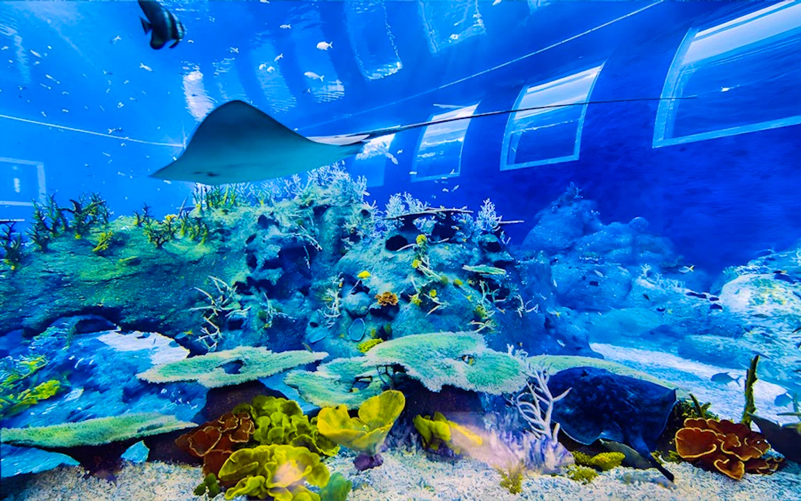 Singapore Oceanarium & Madame Tussauds Combo Ticket